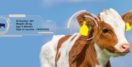 Animal ID-Smart Farm