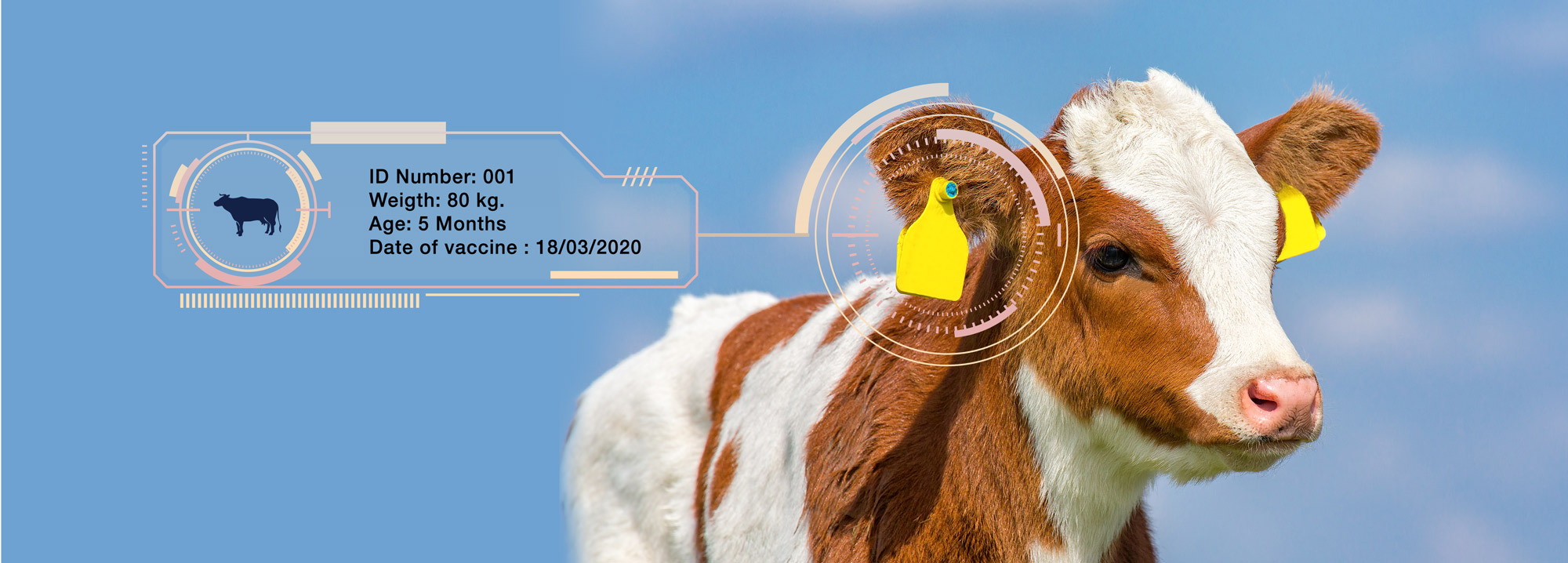Animal ID-Smart Farm