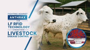 Fighting Against Anthrax: How LF RFID Technology Strengthens Livestock Disease Control