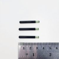 LF HDX IC with R/W Glass Transponder 32 mm