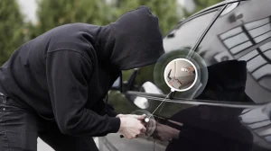 LF RFID Vehicle Anti-Theft