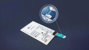 SEGR-200 carbon-based screen-printed electrode on PET substrate