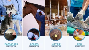 implant chips at certain locations for certain animals