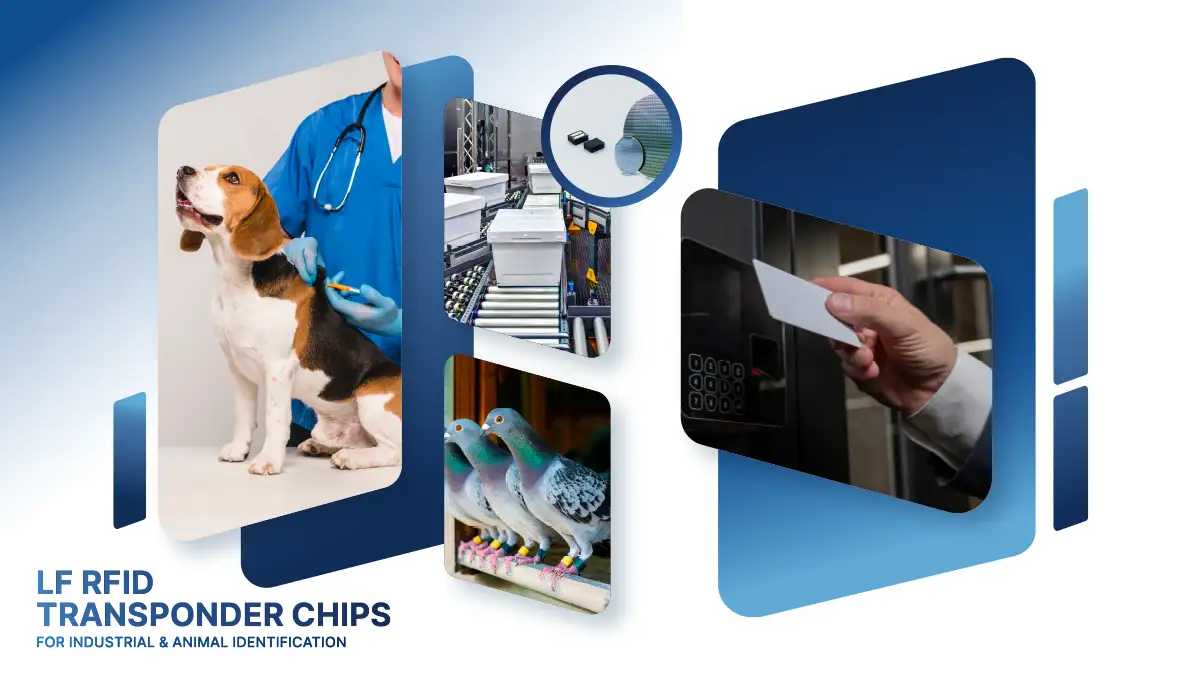 One RFID Chip. Built for Identification Done Right