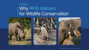 Why RFID Matters for Wildlife Conservation